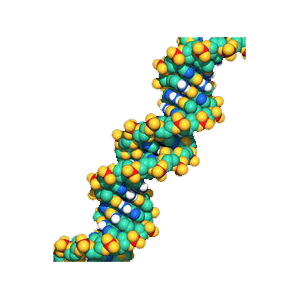 DNS